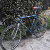 Mountain Bike Vintage "Sprinter"