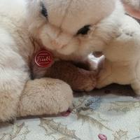 Coniglio e coniglietto trudy