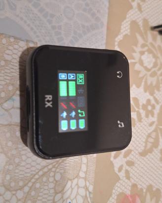 Microfoni a distanza  Pulce