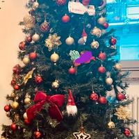 Albero di Natale 240cm