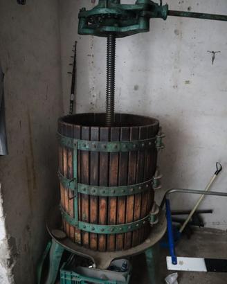 Torchio uva vino 60 cm