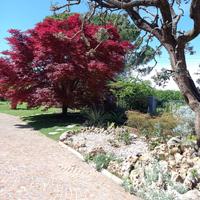 Villa Bifamiliare ampi spazi e giardino