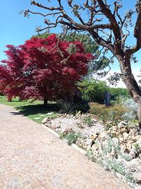 Villa Bifamiliare ampi spazi e giardino