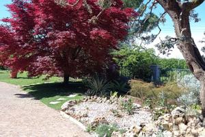 Villa Bifamiliare ampi spazi e giardino