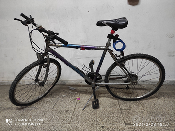 Bici MTB 18 velocità