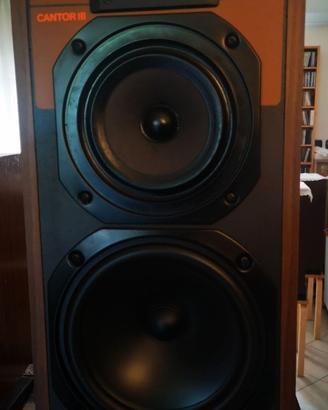 DIFFUSORI KEF CANTOR III