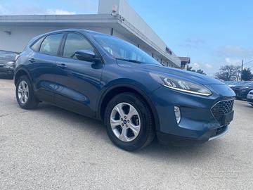 Ford Kuga 1.5 EcoBlue 120 CV 2WD Connect