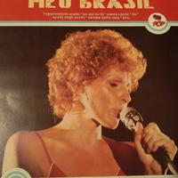 Vinile di Ornella Vanoni "Meu Brasil" 1981