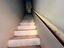 Immagine 7