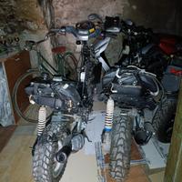 c e r c o telaio Phantom f12