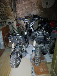 c e r c o telaio Phantom f12