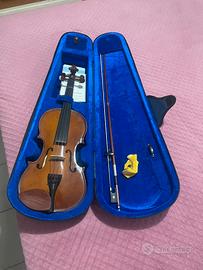Violino