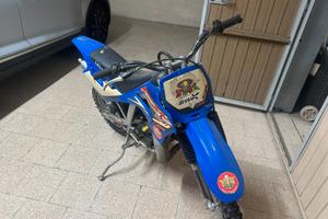 LEM 50 minimoto