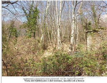 Terreno Agricolo Stazzema [A4341158]