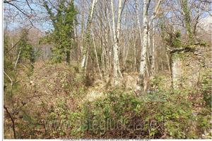 Terreno Agricolo Stazzema [A4341158]