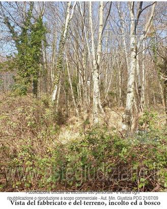 Terreno Agricolo Stazzema [A4341158]