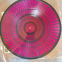 Saviors Green day LP