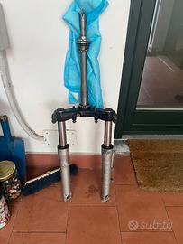 Forcelle sh 300 2009