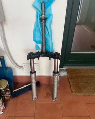 Forcelle sh 300 2009