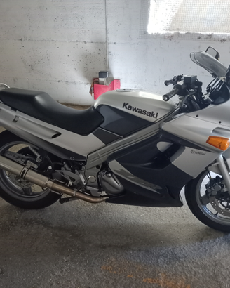 Kawasaki ZZR-250