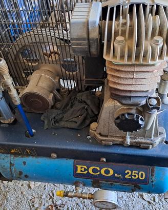 Compressore raccolta olive Campagnola 