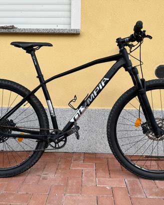 MTB Olympia Drake 29" Front