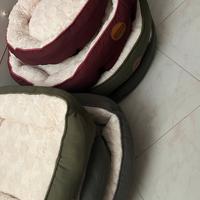 Cucce per cani gatti vari modelli e misure disponi