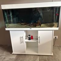 Acquario