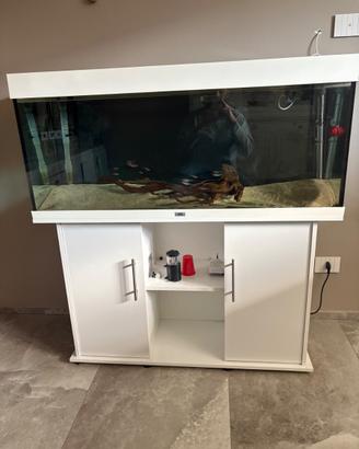 Acquario