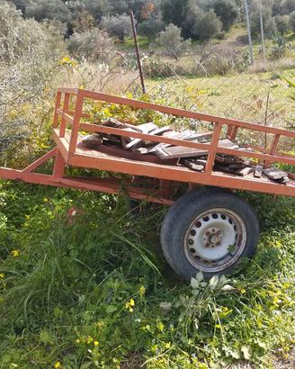 carrello per auto non omologato 