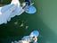 Immagine 17