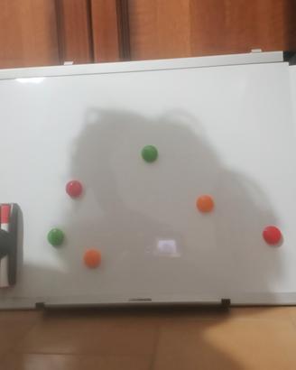 Lavagna magnetica da parete