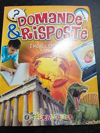 libro Domande e risposte 
