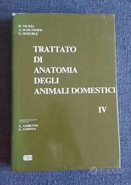 Libri anatomia veterinaria Nickel Vol. 2 e 4