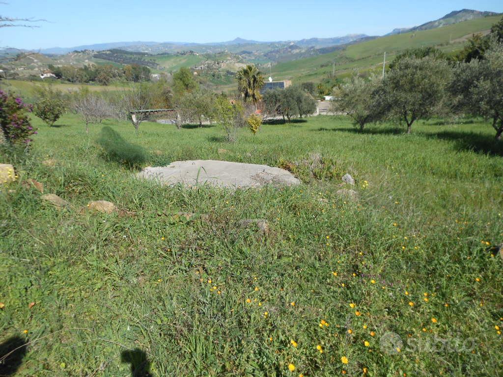 Terreno pianeggiante S. Barbara - Vista 5