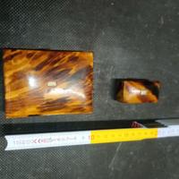 Scatoline tartaruga inglesi 
