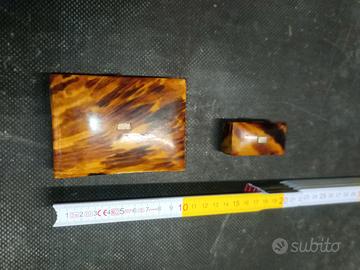 Scatoline tartaruga inglesi 