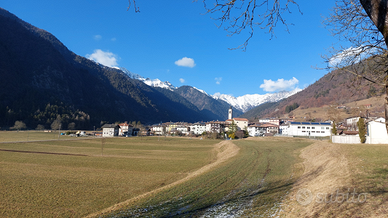 Appartamento in Val di Ledro (TN)