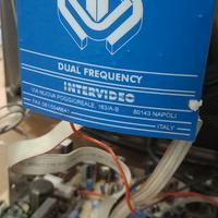 monitor dual frequency intervideo 28"