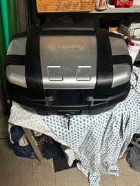 Baule