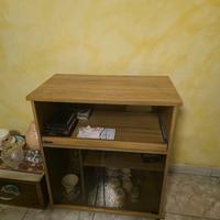 MOBILE TV CON VETRINETTA