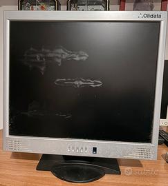 Monitor Lengin CP190LAV 19”