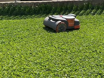 Robot rasaerba NAVIMOW H3000E VF