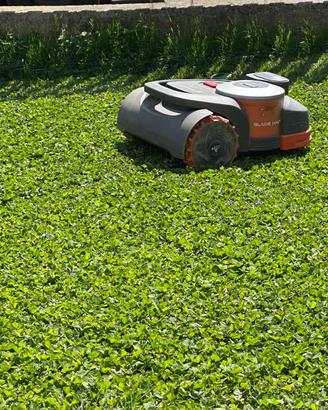 Robot rasaerba NAVIMOW H3000E VF