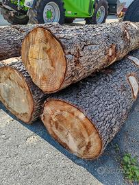 Tronchi in legno massello di grandi dimensioni