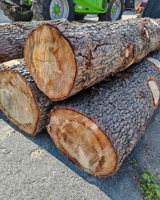 Tronchi in legno massello di grandi dimensioni
