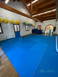 Tatami Pavimento Palestra