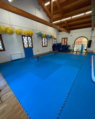Tatami Pavimento Palestra