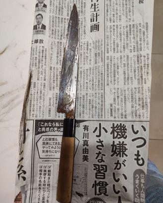 coltello giapponese 