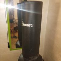 pungiball professionale